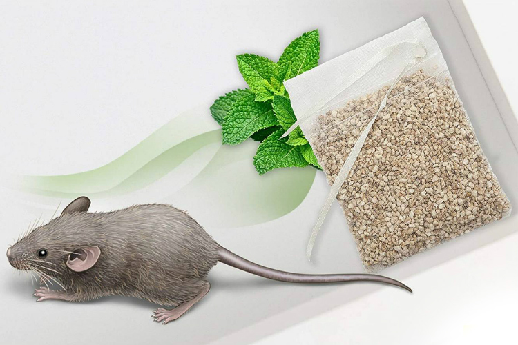 Rodent Repellent Packs