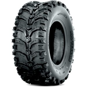 Deestone D933 Tires